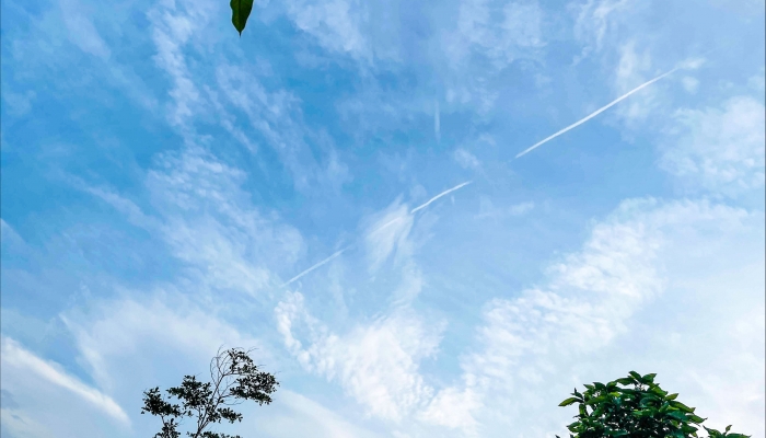 北京未来三日晴好天气持续 秋凉渐浓需注意温差防护