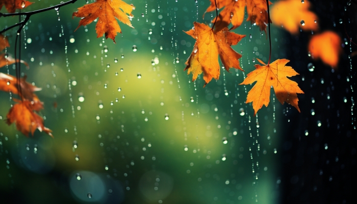 北京今日小雨添凉意 明后晴暖需防温差
