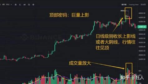 币圈小白必看：告别盲投，理性投资