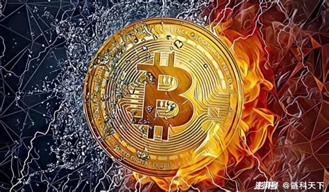 比特币：数字黄金的诞生与演变