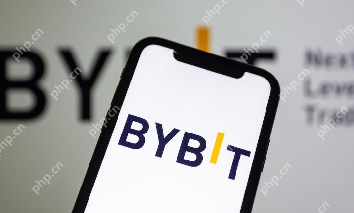 Bybit交易所官方入口网站地址 Bybit官网手机APP下载链接 - 天气宝