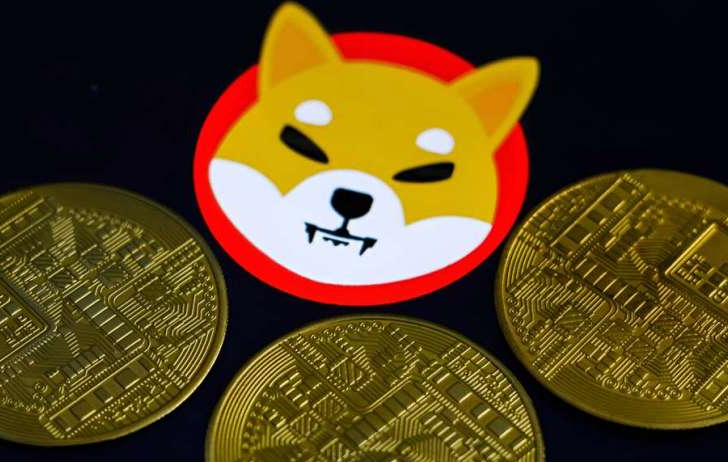 Shiba Inu (SHIB) 2025年基本面分析:Shibarium生态能否引爆价格? - 天气宝