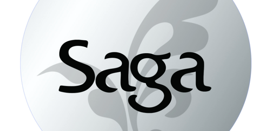 Saga (SAGA) 币是什么？模块化游戏公链的空投与潜力解读 - 天气宝